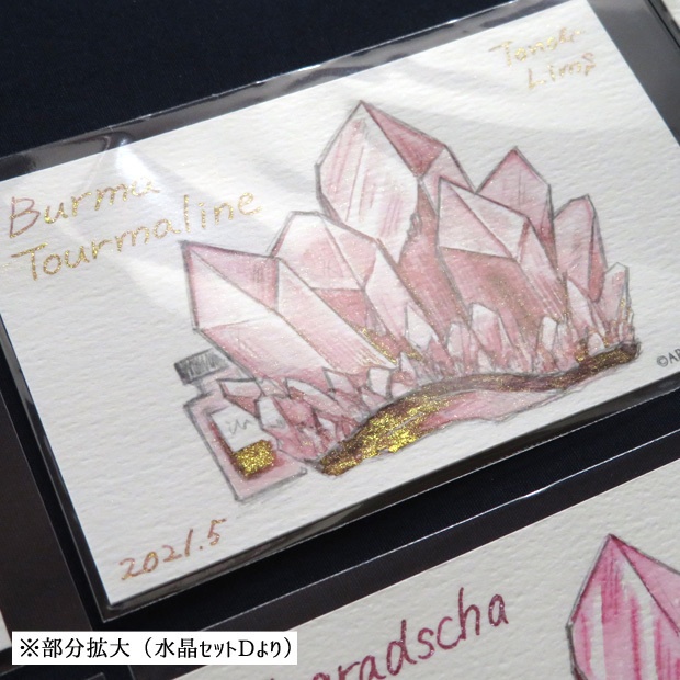 塗り絵カード着色セット EC-1