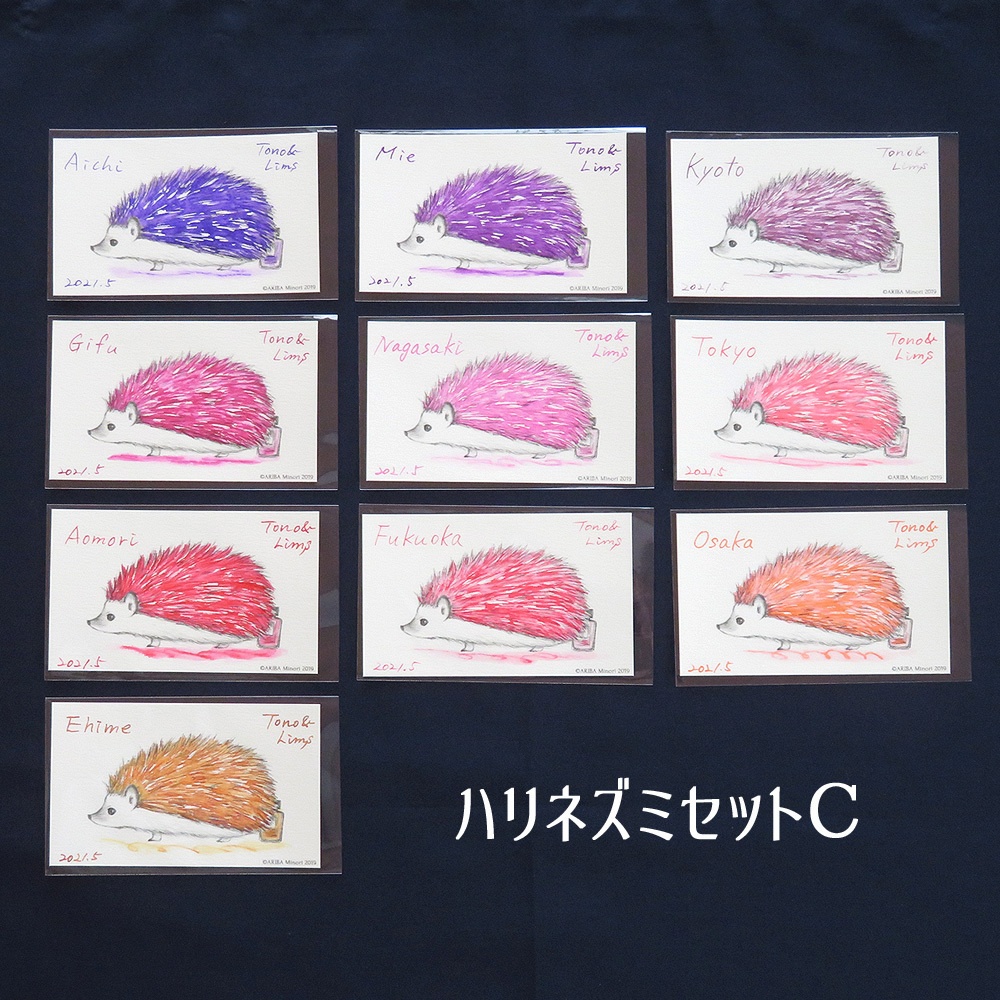 塗り絵カード着色セット Aichi他