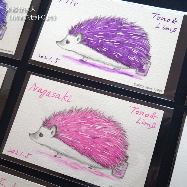 塗り絵カード着色セット Aichi他