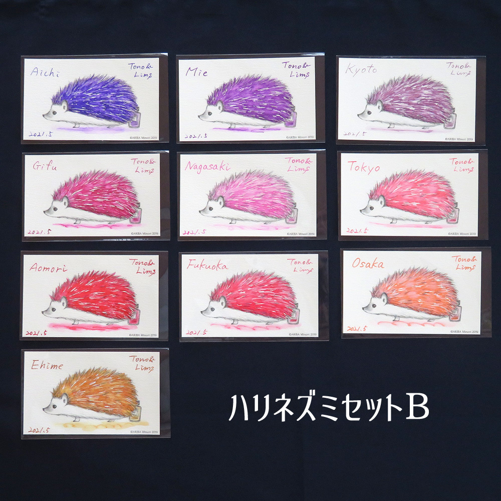 塗り絵カード着色セット　Aichi他
