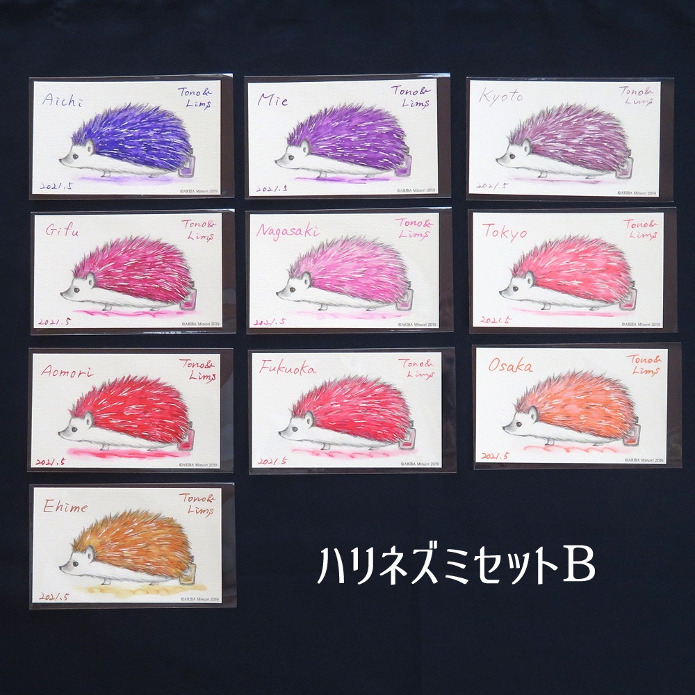 塗り絵カード着色セット　Aichi他