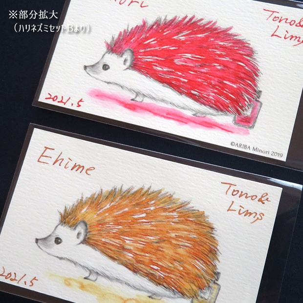 塗り絵カード着色セット Aichi他