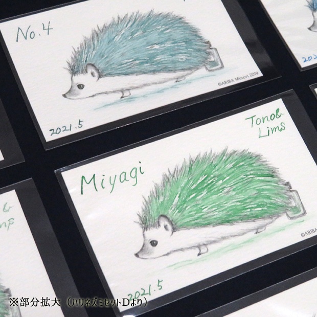 塗り絵カード着色セット No.2他