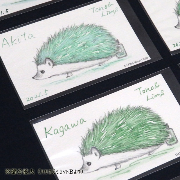 塗り絵カード着色セット No.2他