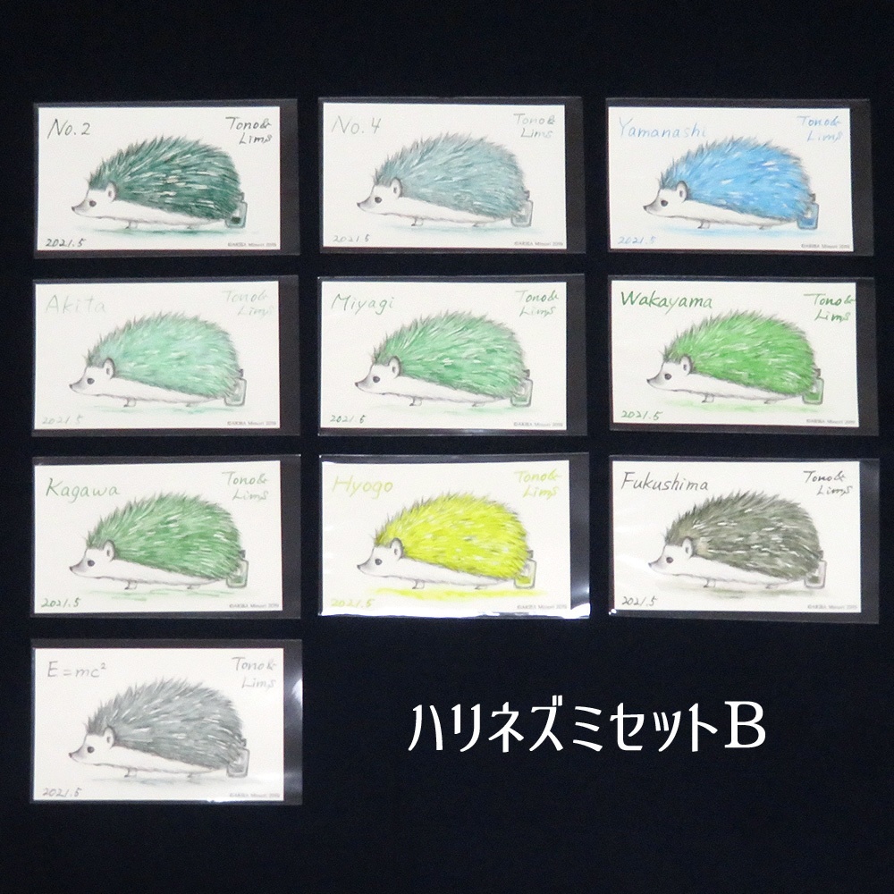 塗り絵カード着色セット No.2他