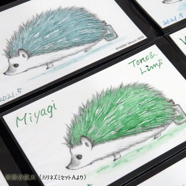 塗り絵カード着色セット No.2他