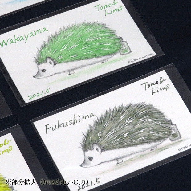 塗り絵カード着色セット No.2他