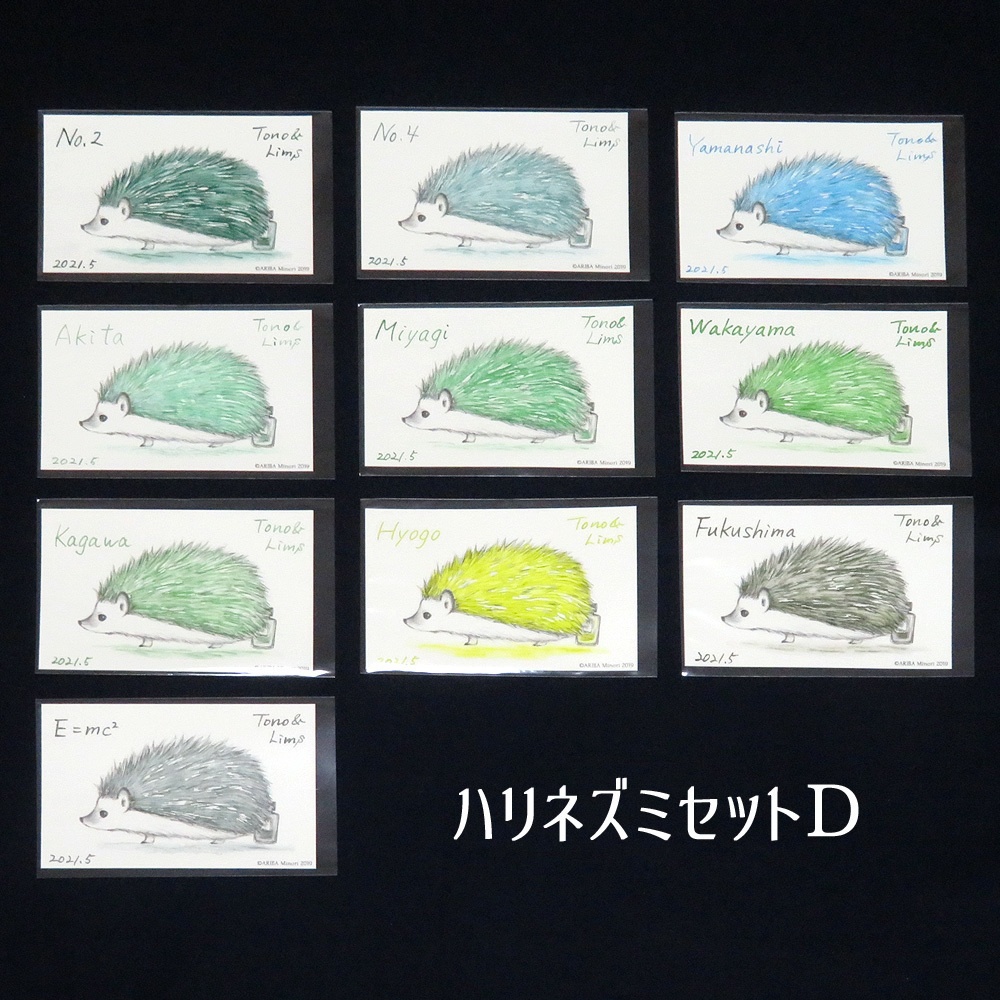 塗り絵カード着色セット No.2他