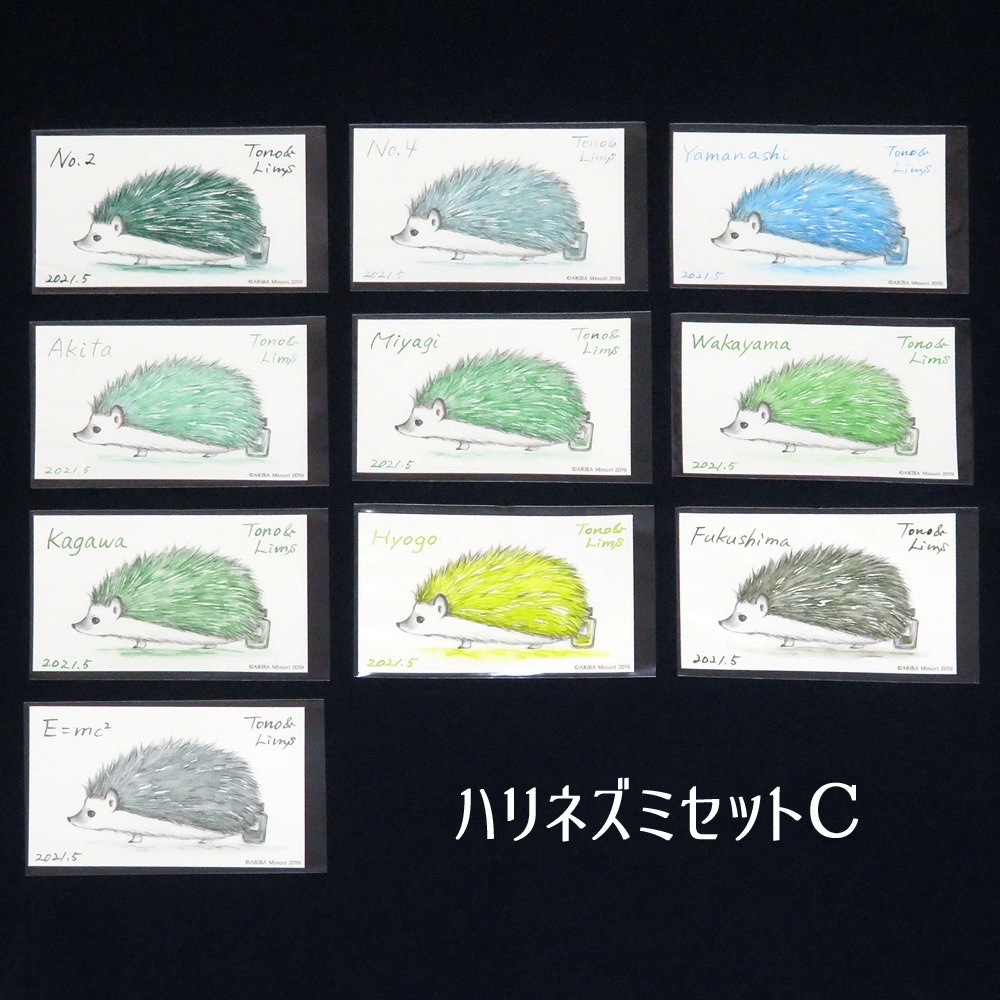 塗り絵カード着色セット No.2他