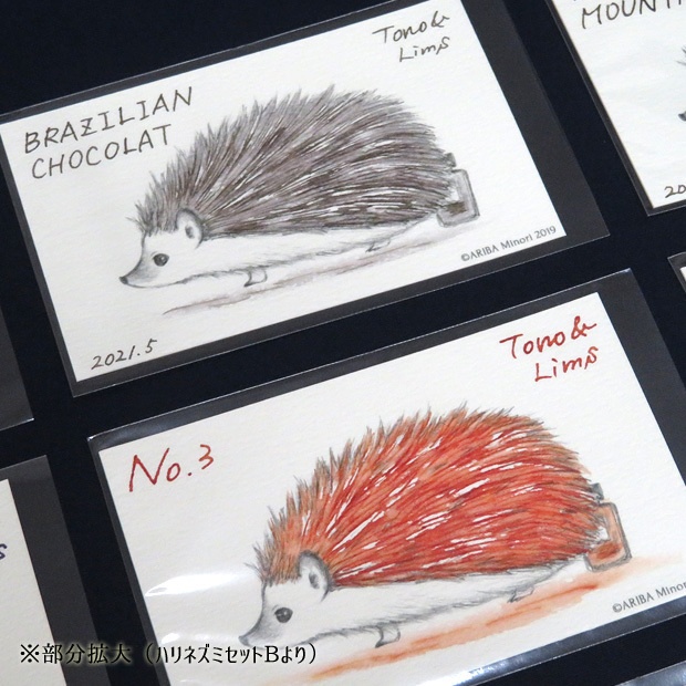 塗り絵カード着色セット Kola Nuts他