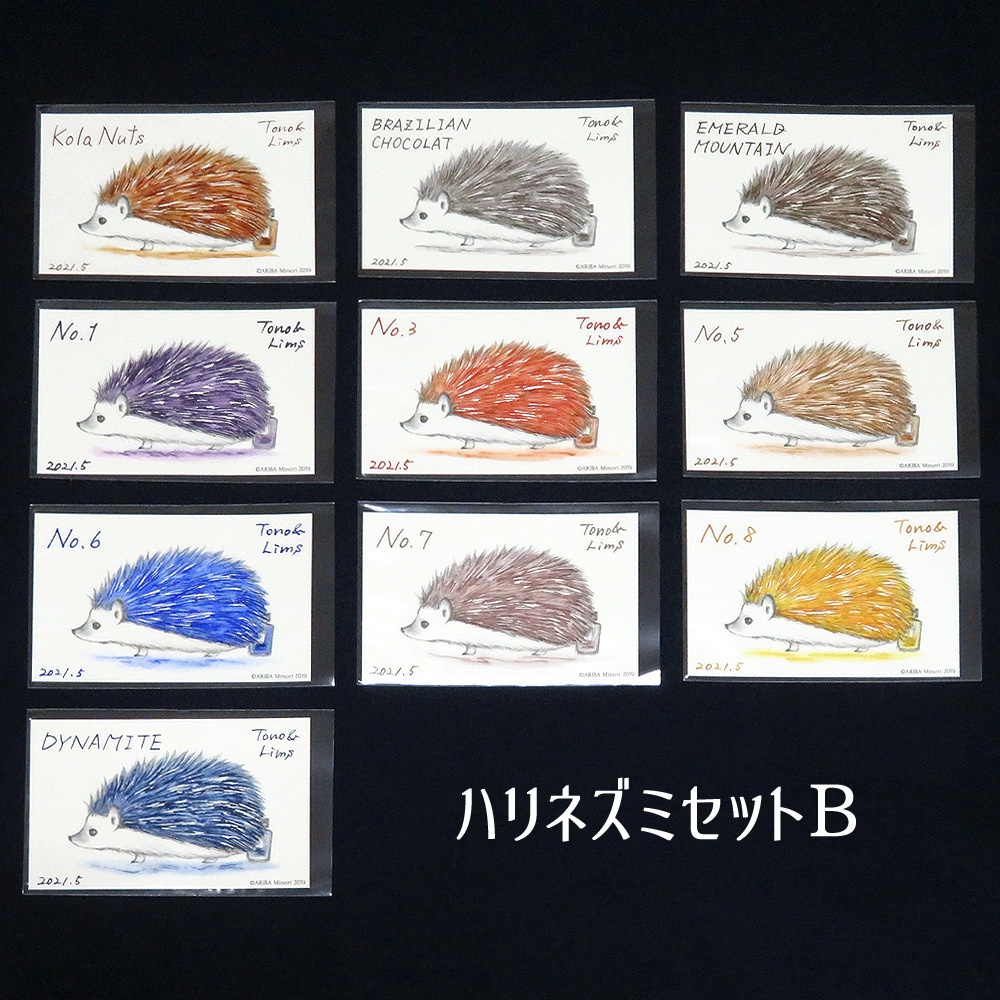 塗り絵カード着色セット Kola Nuts他