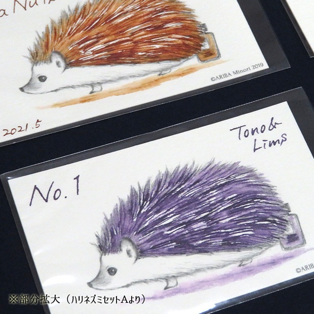 塗り絵カード着色セット Kola Nuts他