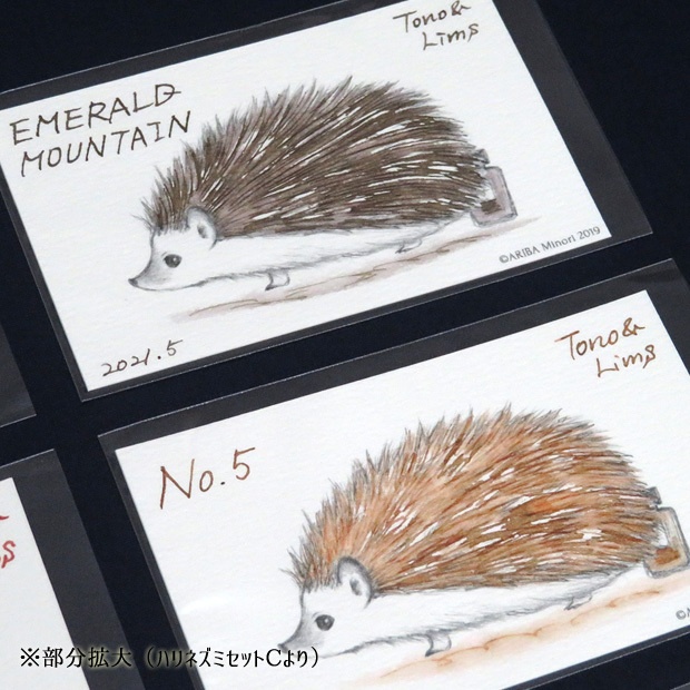 塗り絵カード着色セット Kola Nuts他