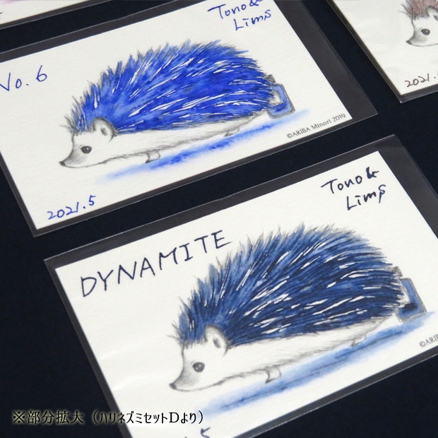 塗り絵カード着色セット Kola Nuts他