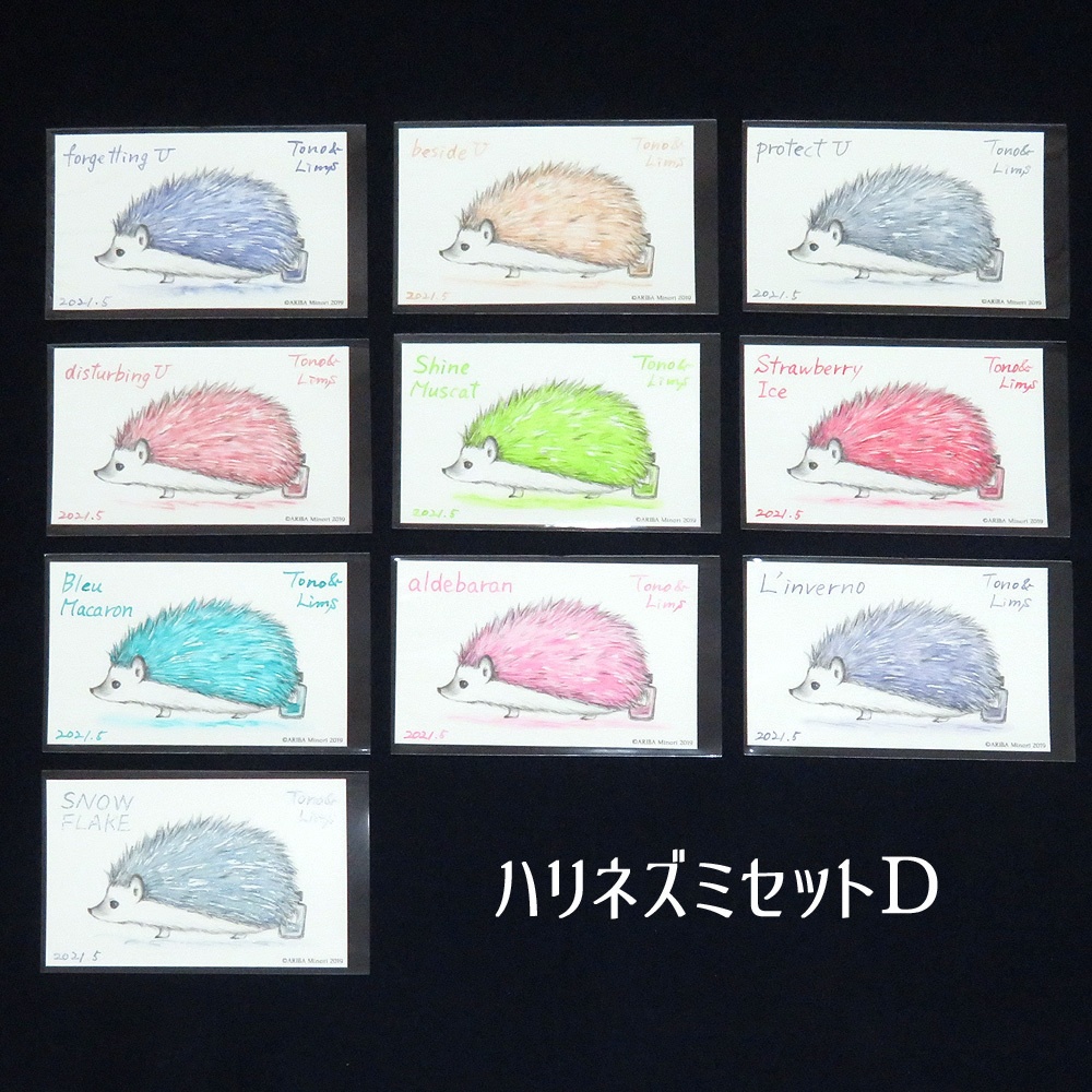 塗り絵カード着色セット forgetting U他