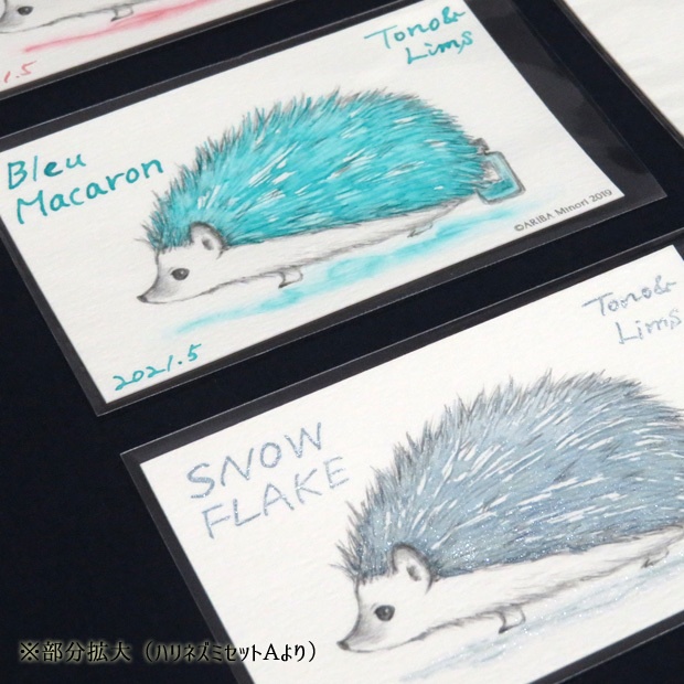 塗り絵カード着色セット forgetting U他