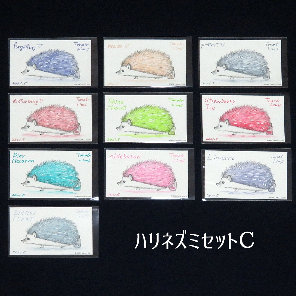 塗り絵カード着色セット forgetting U他