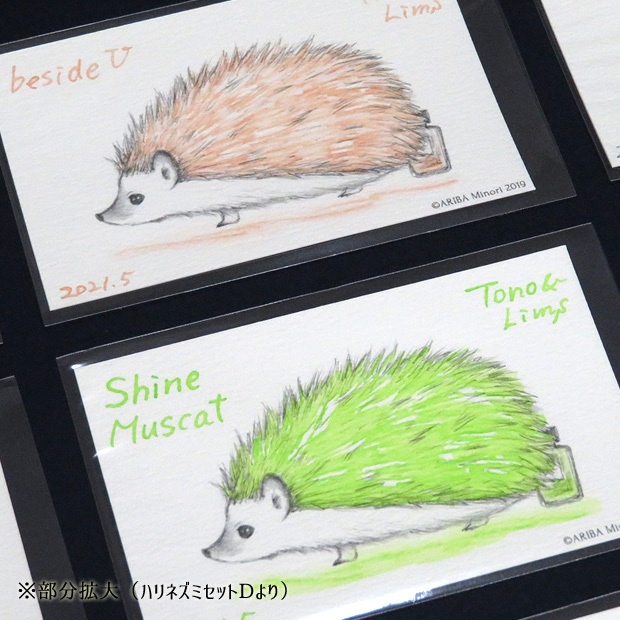 塗り絵カード着色セット forgetting U他