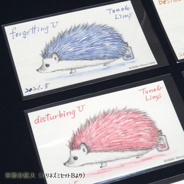 塗り絵カード着色セット forgetting U他