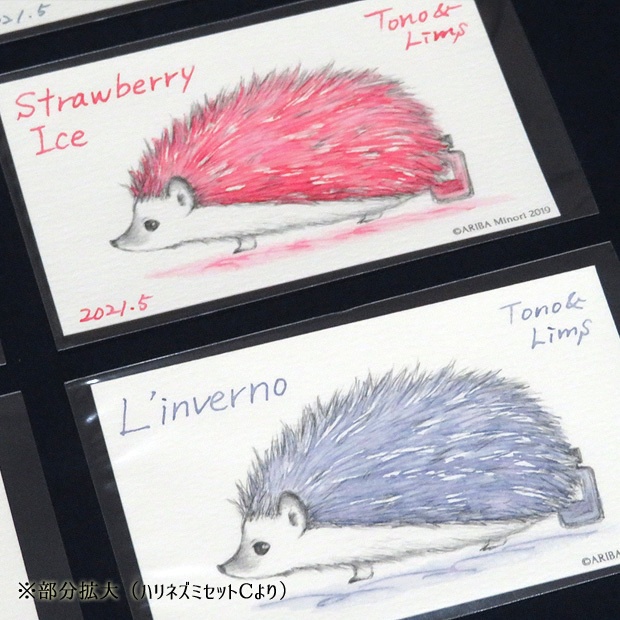 塗り絵カード着色セット forgetting U他