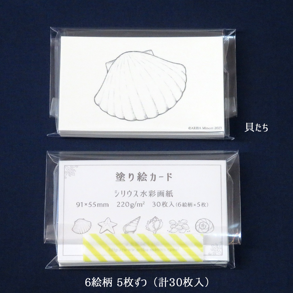 塗り絵カード 6絵柄セット「貝たち」
