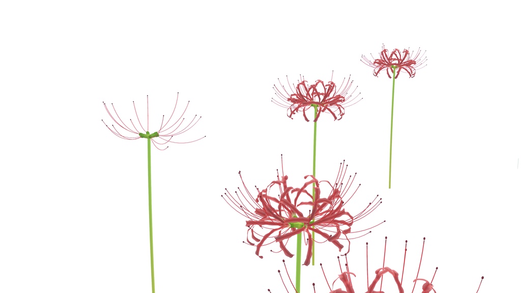 【VRChat想定・MA環境想定】彼岸花パーティクル