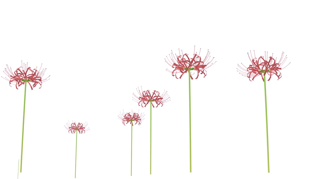 【VRChat想定・MA環境想定】彼岸花パーティクル