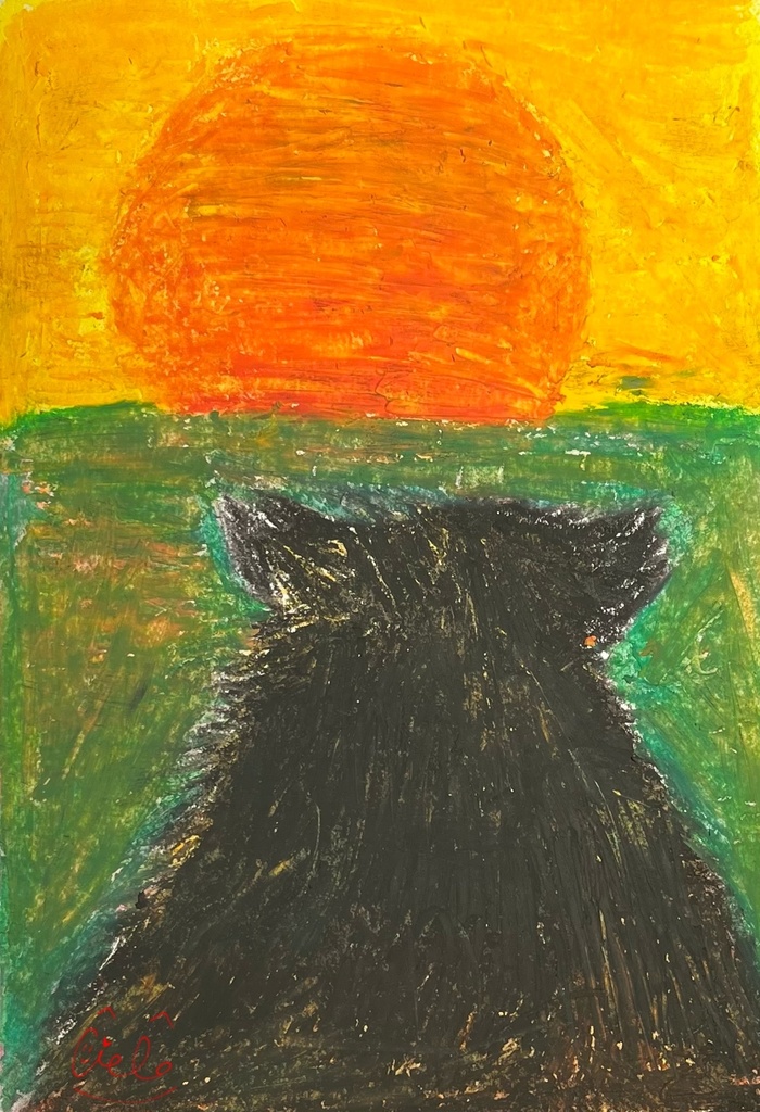 夕焼けと猫