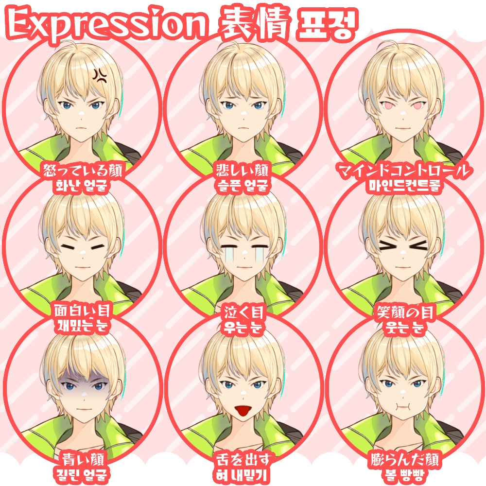 【Live2D モデル】 ひろ Hiro 히로 【Vtube studio用 モデル】