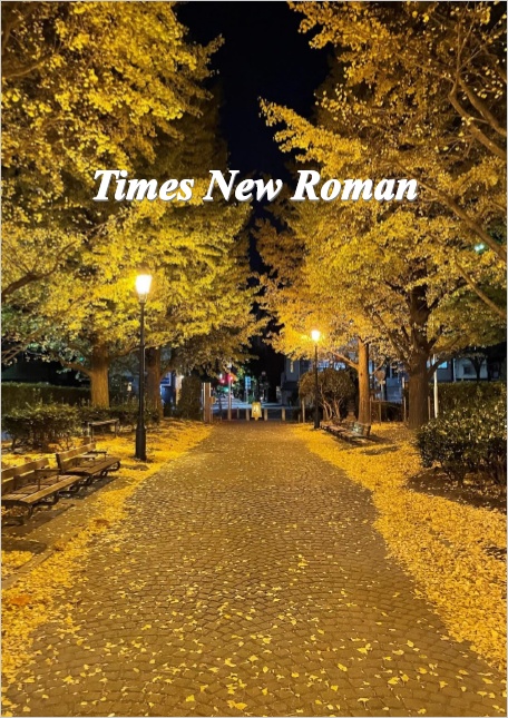Times_New_Roman