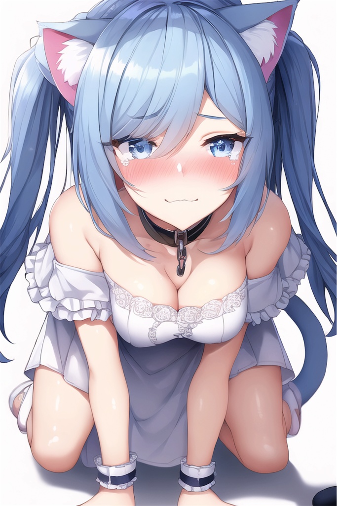 AI作品 奴隷ねこ少女 上巻(個別ダウンロード)