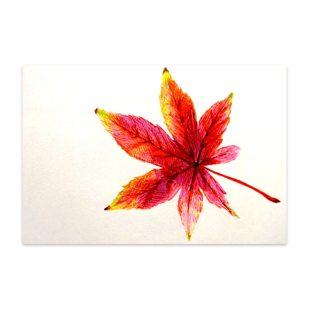 ひとひらのもみじ