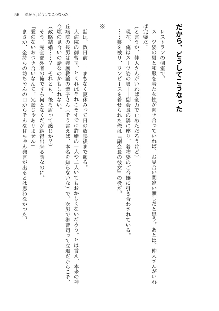 灰かぶり君 =後篇=