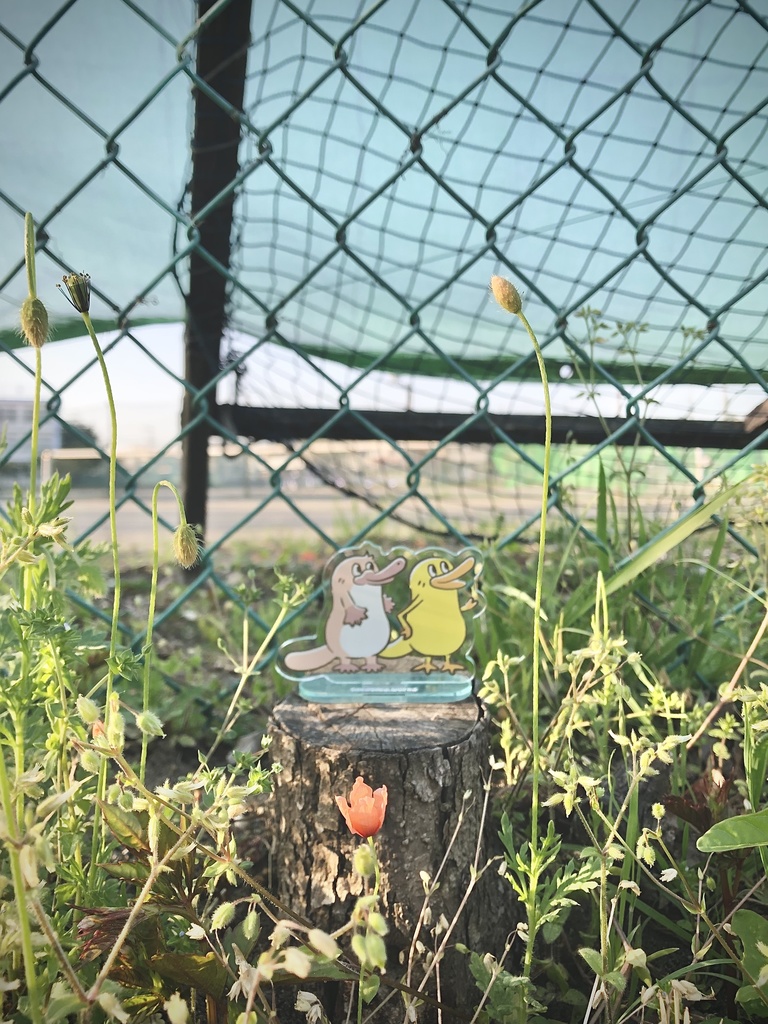 【カモノハシ&カモノハシ?のだばしくん】アクリルスタンド: あんしんBOOTHパック(匿名発送)