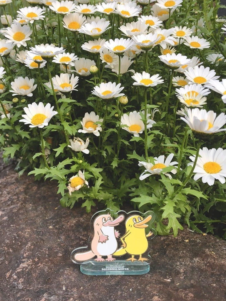 【カモノハシ&カモノハシ?のだばしくん】アクリルスタンド: あんしんBOOTHパック(匿名発送)