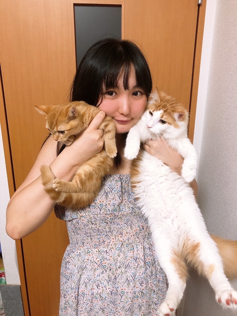 猫ちゃん達とのA4ラミネート写真