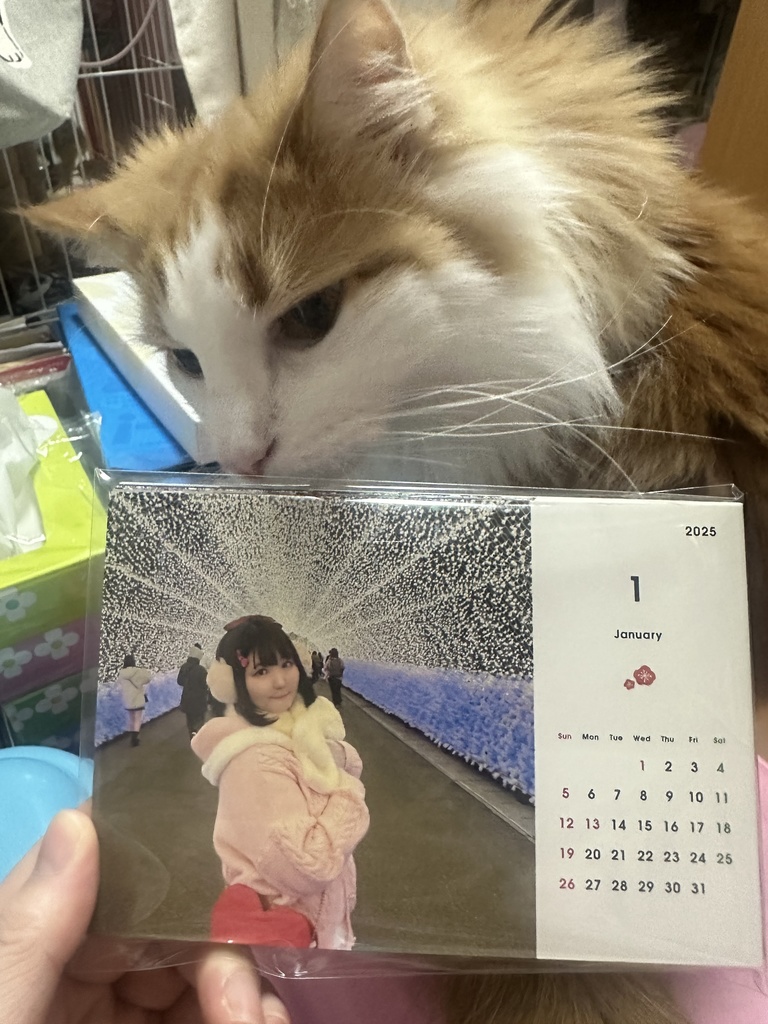 桃奈りさこ卓上カレンダー2025