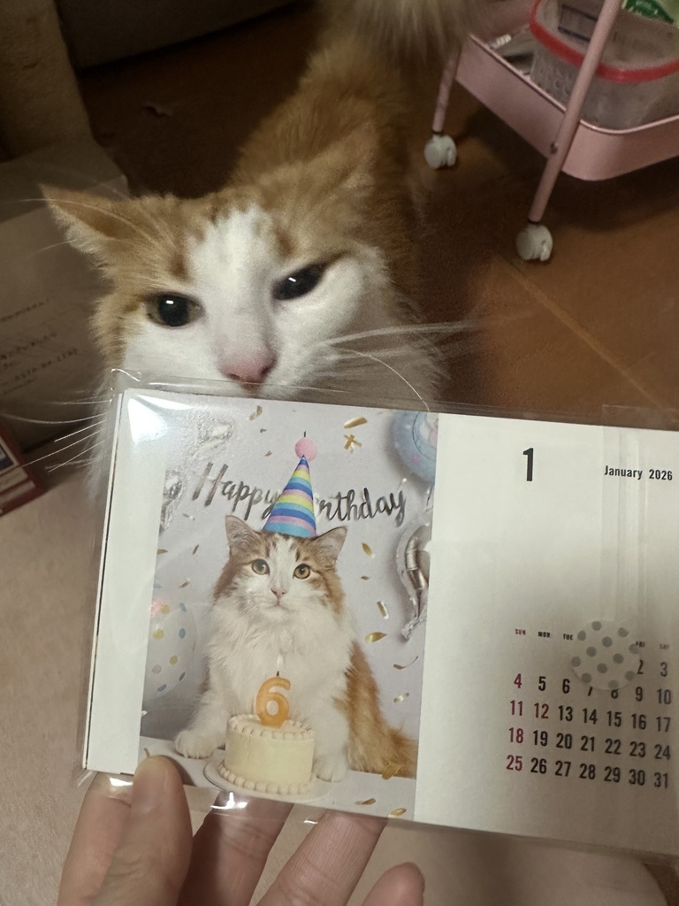 のるちゃんカレンダー2026年