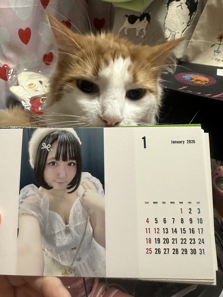 桃奈りさこ卓上カレンダー2026