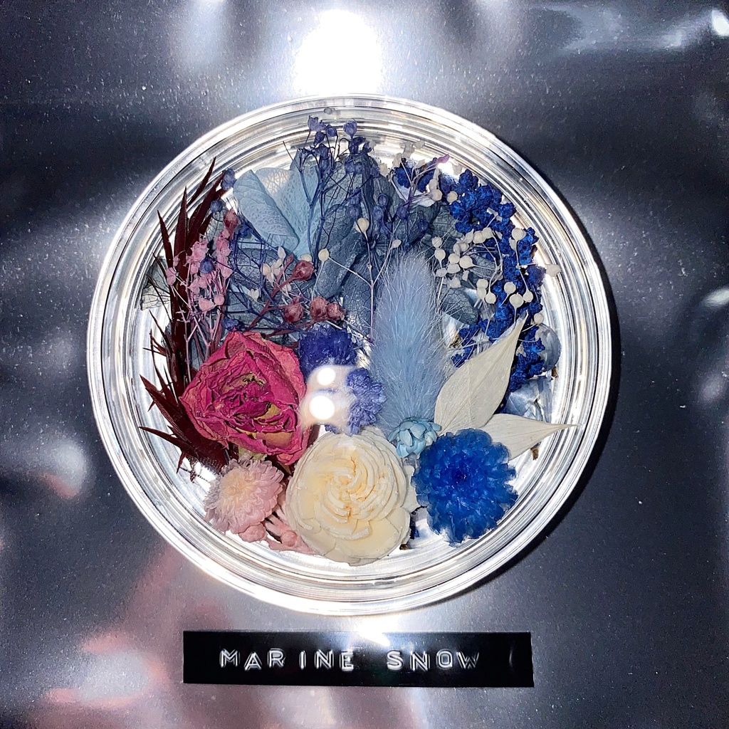marine snow. (P)