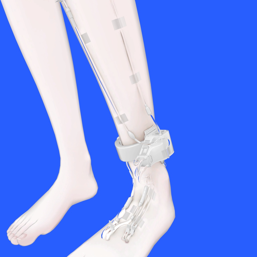 【サナティア専用】Graft Preservation Shell 移植片保護