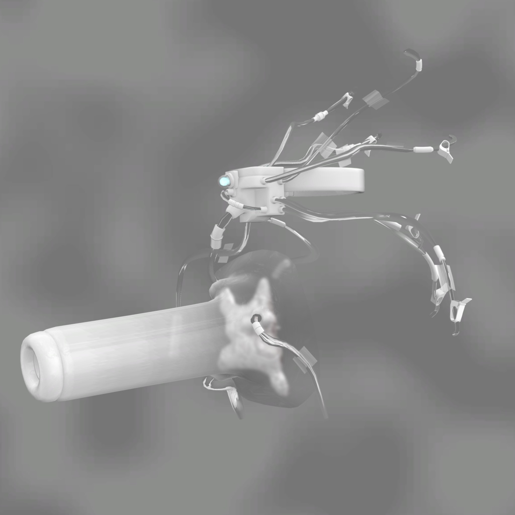 【サナティア専用】Graft Preservation Shell 移植片保護