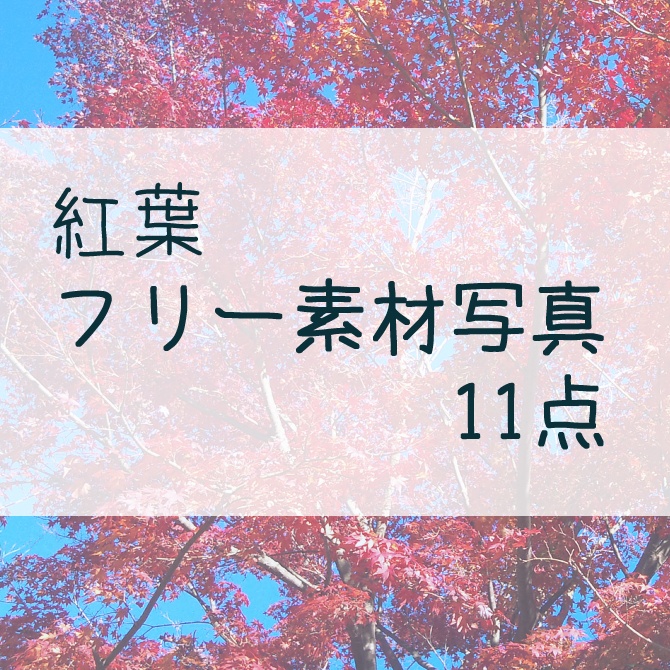 無料写真素材：紅葉