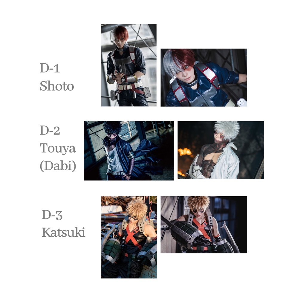 D ポストカードセット