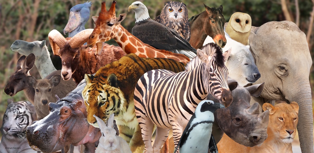 百獣エスケープ(100animalease) ゲーム実況配信用サムネイル画像素材