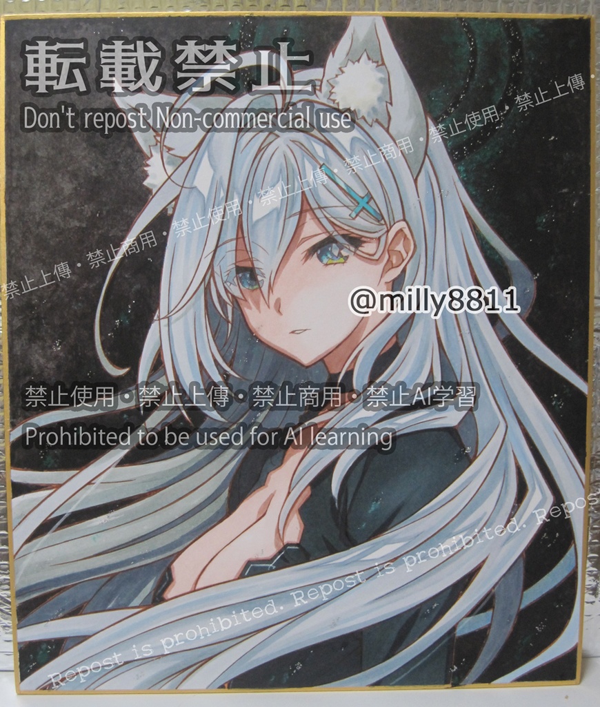 同人手描きイラスト原画(中色紙)『ブルーアーカイブ』(ブルアカ) シロコ*テラー blue archive