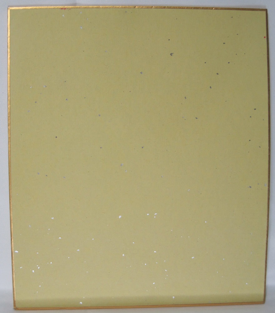 【難有り】同人手描きイラスト原画(中色紙)『ブルーアーカイブ』(ブルアカ) 聖園ミカB(体操着) blue archive