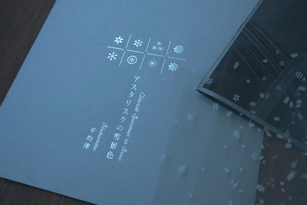 アスタリスクの雪景色