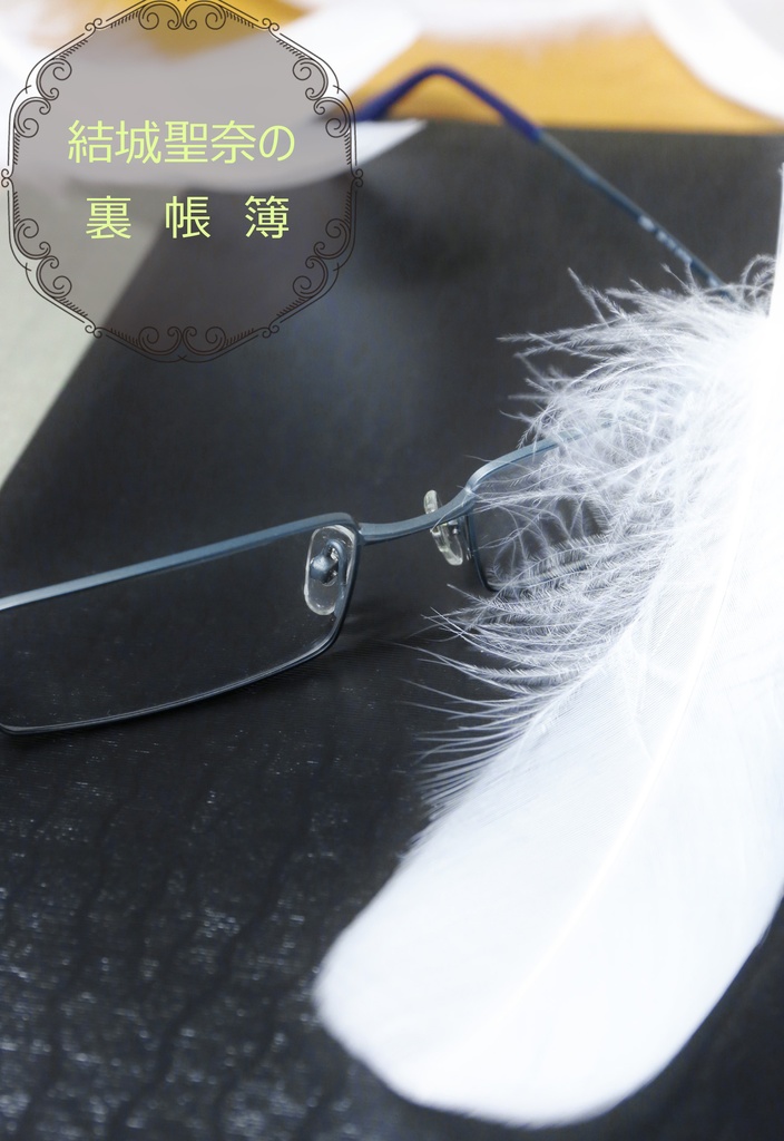 結城聖奈の裏帳簿