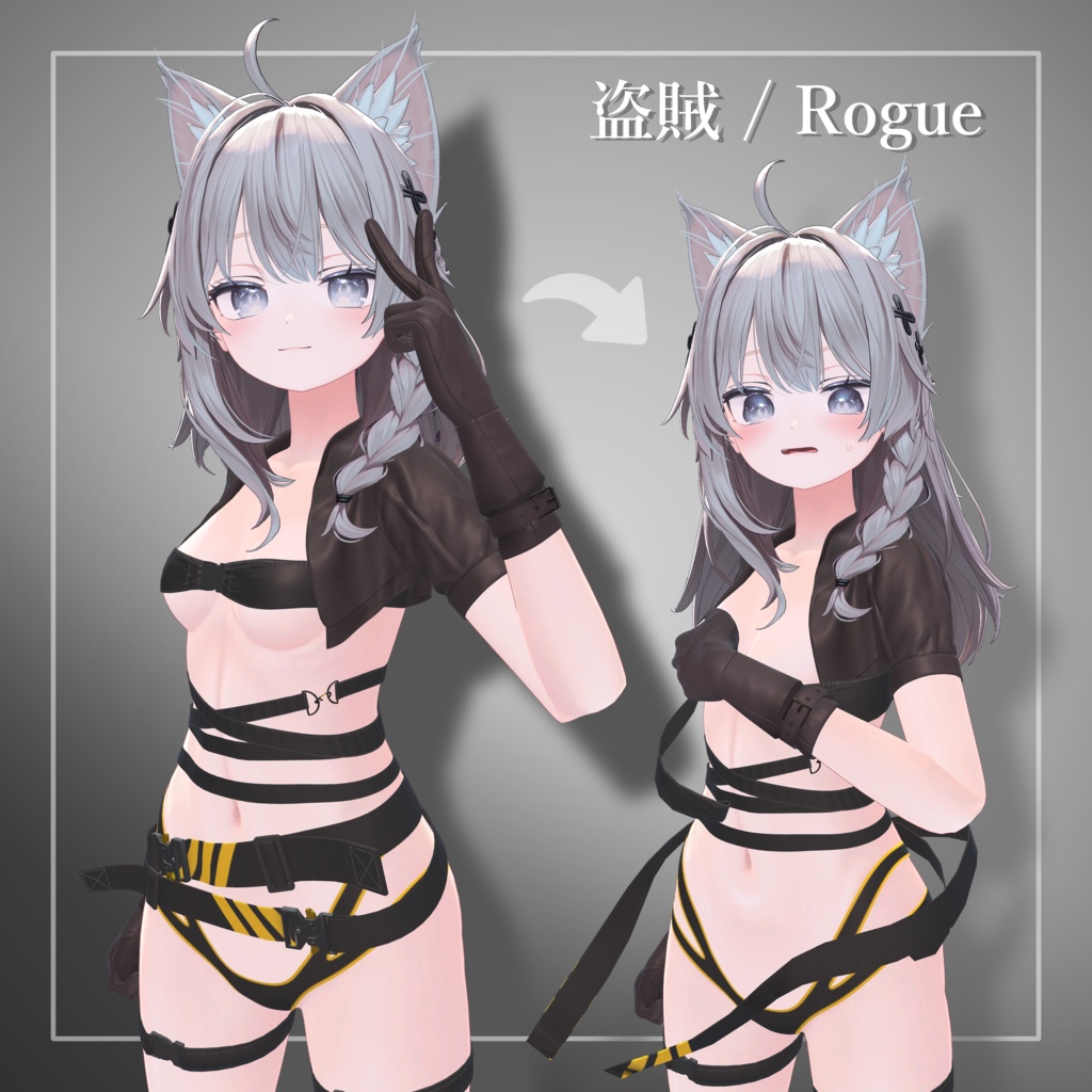 盗賊 / Rogue